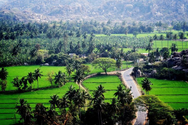 هامبي Lee Homestay المظهر الخارجي الصورة